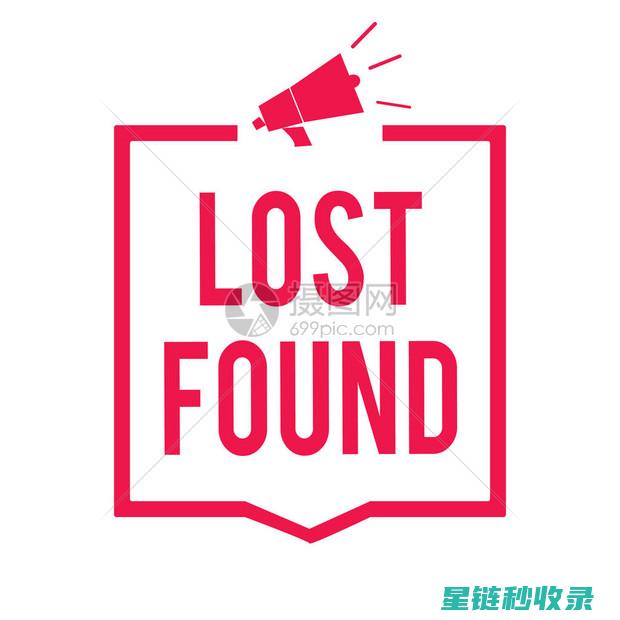 寻找丢失的小物件：它们在某个地方等着你 (寻找丢失的小狗作文)
