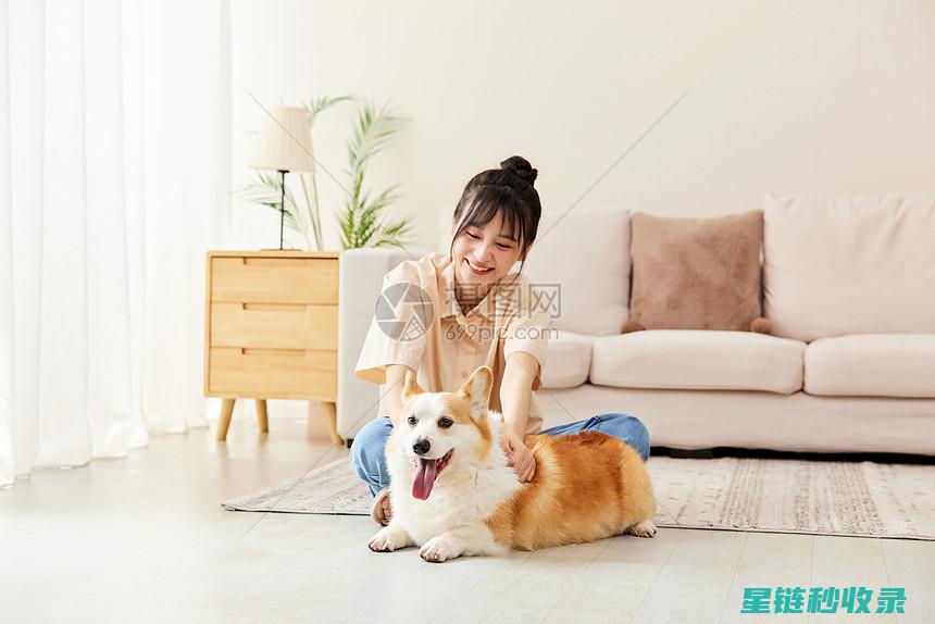 宠物玩具与婴儿玩具的混合消毒注意事项 (宠物玩具与婴儿的区别)