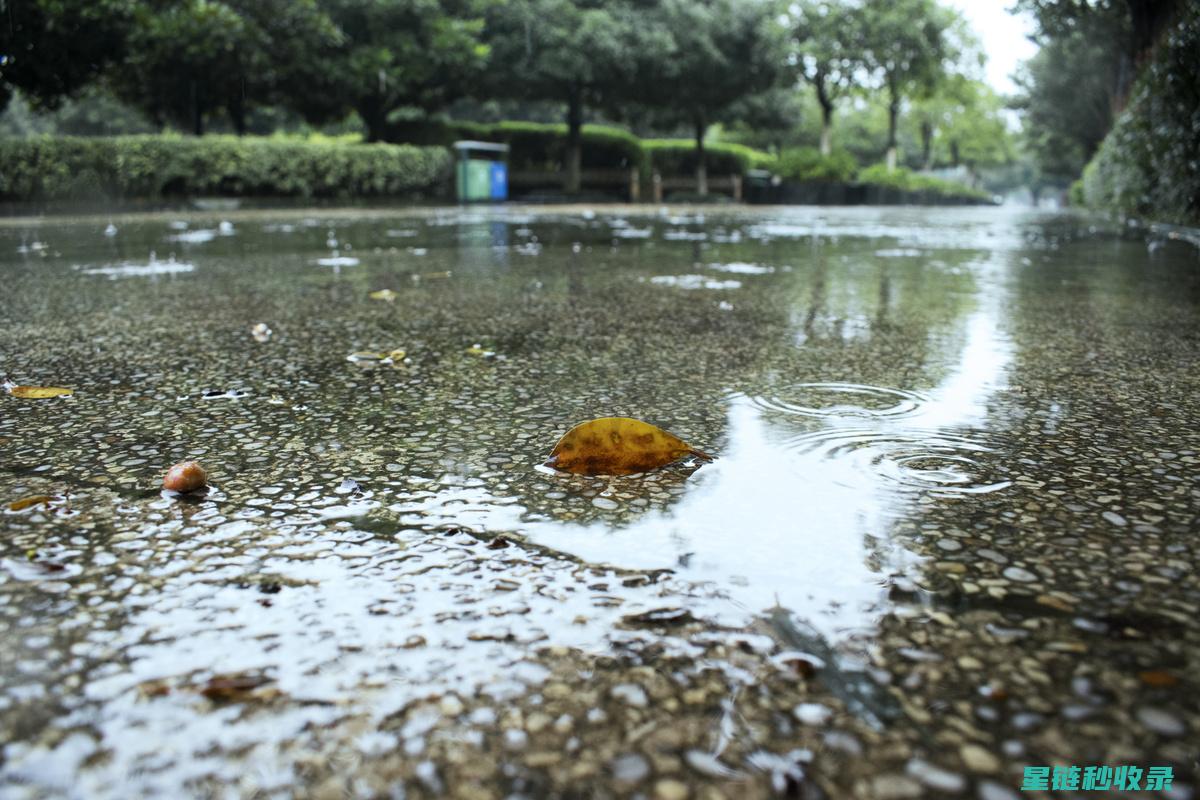 雨刮水自制指南，清洁挡风玻璃更方便 (自制雨刮水配方)