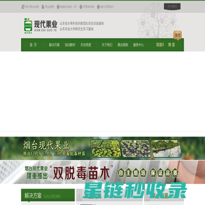 馨元萃,烟富8,苹果新品种,双脱毒矮化苹果苗//烟台现代果业